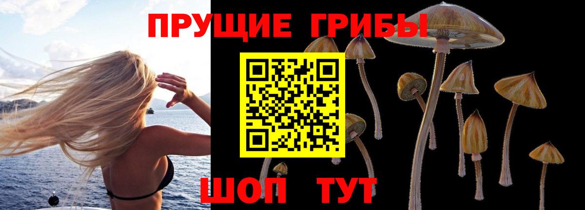Славянск-на-Кубани  Псилоцибиновые грибы Cubensis  купить   Псилоцибиновые грибы мицелий  Вход с VPN 