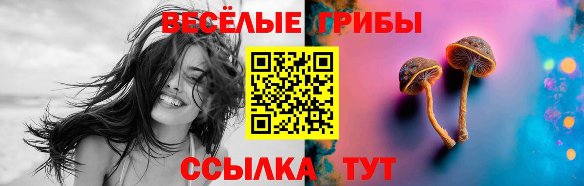 Галлюциногенные грибы ЛСД Славянск-на-Кубани